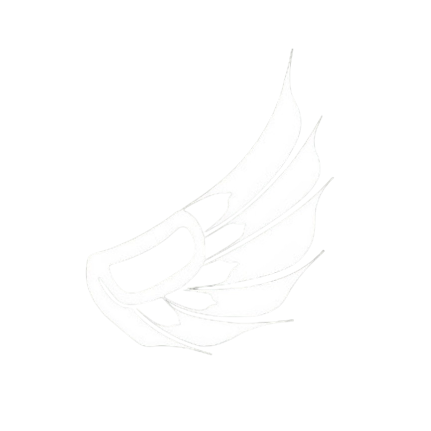 UBC Thunderbird Aero Design Team Logo